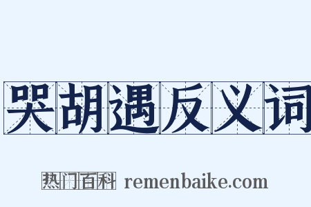 哭胡遇反义词是什么意思的图片